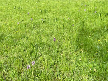 22-05-08 11-07-16 0764